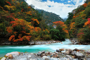 10月21日（周三）【原始彩林丨东拉山大峡谷】川西小众徒步秘境、闭关八年重新开放、打卡奖牌