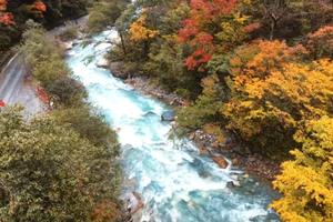 10月21日（周三）【原始彩林丨东拉山大峡谷】川西小众徒步秘境、闭关八年重新开放、打卡奖牌