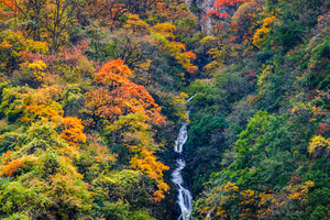 10月21日（周三）【原始彩林丨东拉山大峡谷】川西小众徒步秘境、闭关八年重新开放、打卡奖牌
