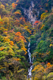 10月21日（周三）【原始彩林丨东拉山大峡谷】川西小众徒步秘境、闭关八年重新开放、打卡奖牌