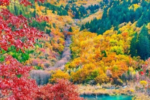 10月24-25日【金秋九寨沟2日游 】天母湖、秋染山海，双境寻幽！两日漫游，解锁川西最治愈的秋日秘境