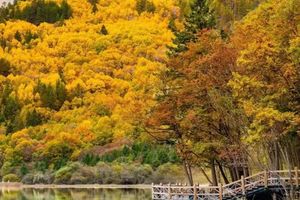 10月24-25日【金秋九寨沟2日游 】天母湖、秋染山海，双境寻幽！两日漫游，解锁川西最治愈的秋日秘境