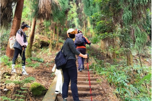 12月7日（周六）【上元古道】绝美千年古道，山野秘境，行走于森林中，洗肺健身（徒步线路）