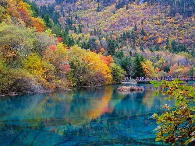 1631173647648134.jpg 微信图片_20210909154715.jpg