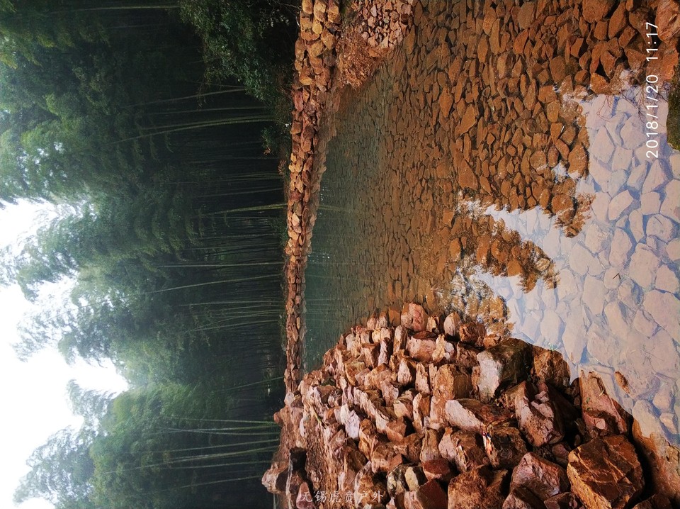 mmexport1516437181690