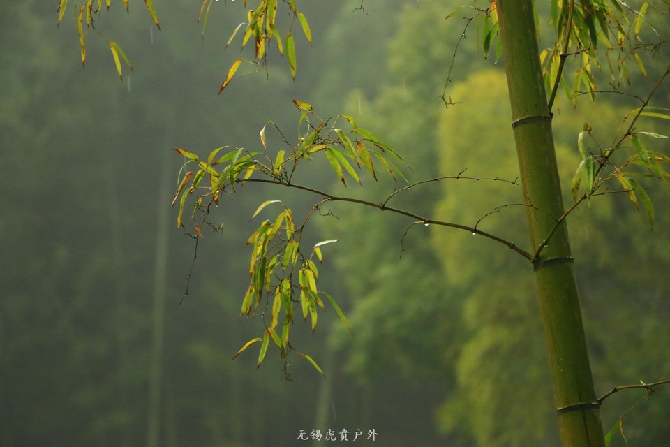 mmexport1516438814667