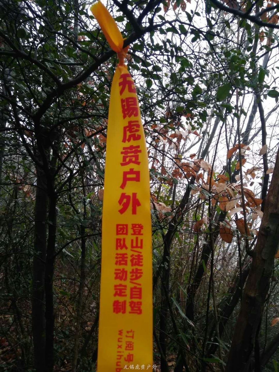 mmexport1516438796786