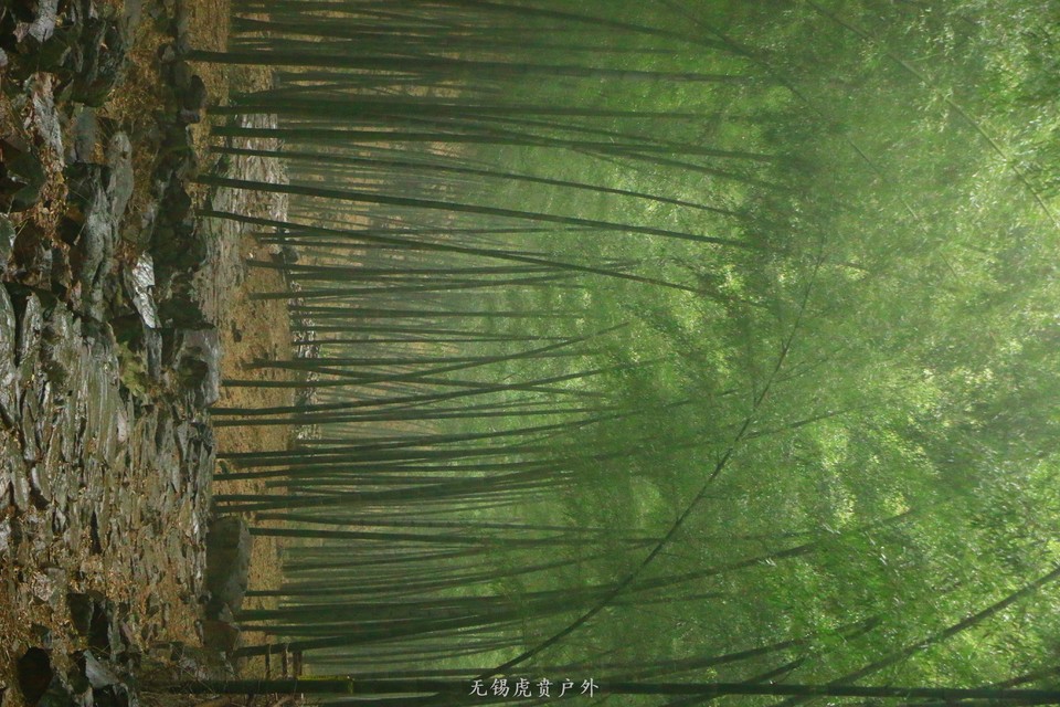 mmexport1516439045588