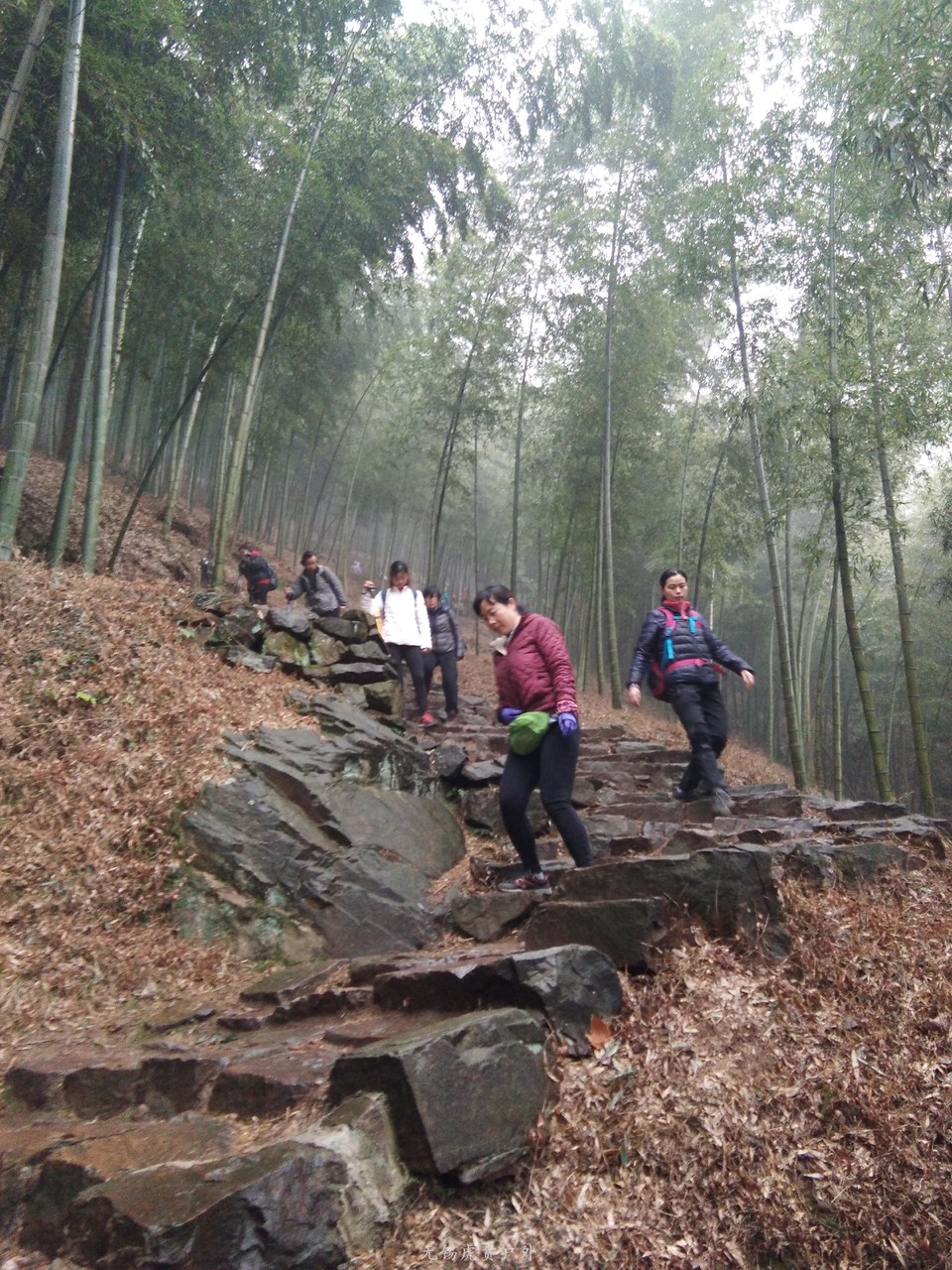 mmexport1516439109025