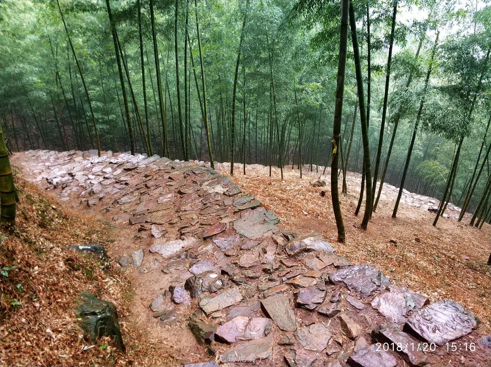 mmexport1516439191466