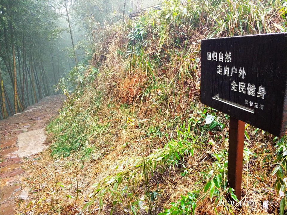 mmexport1516439206086