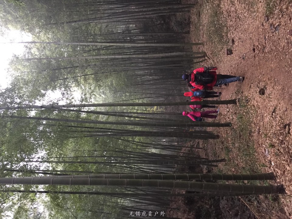 mmexport1516456923064