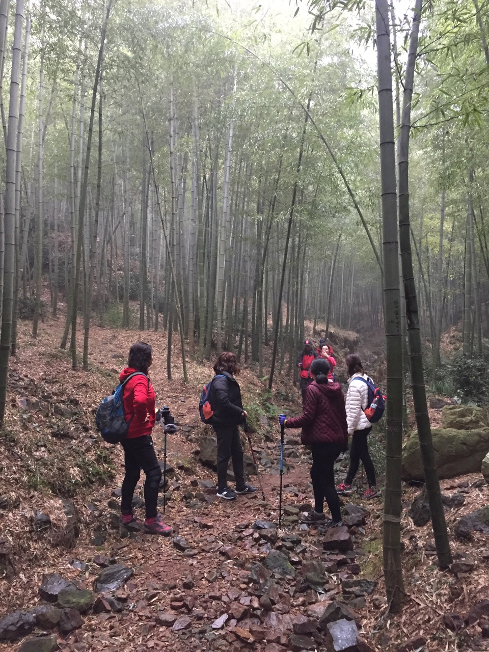 mmexport1516456941104