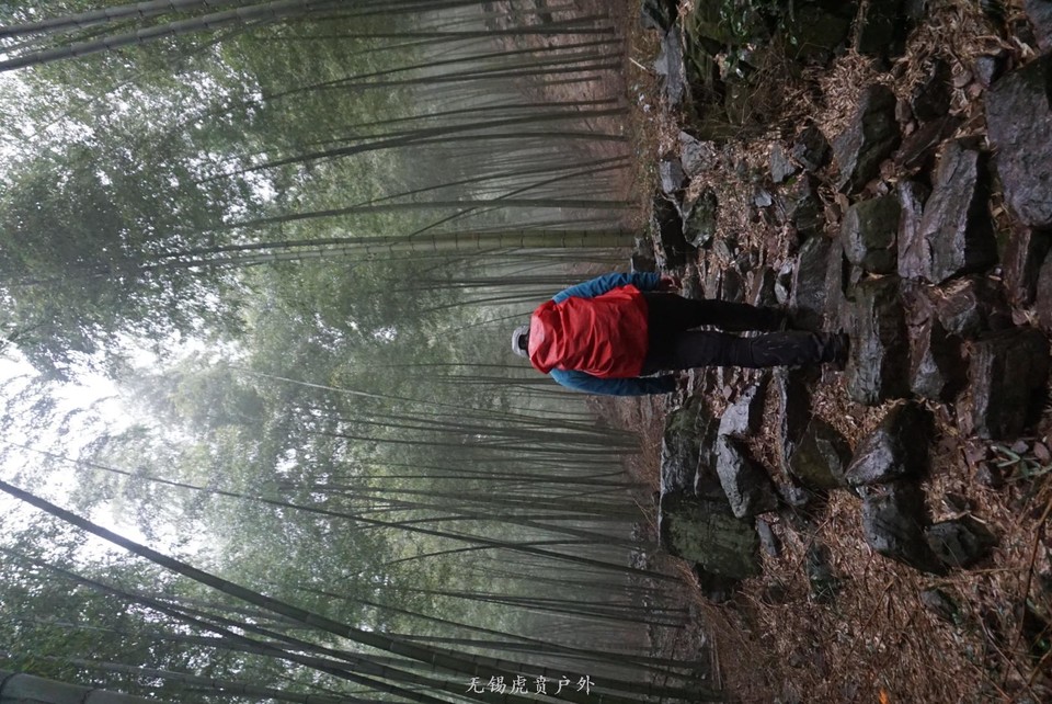 mmexport1516457065862