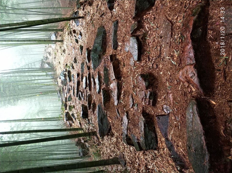 mmexport1516439264034