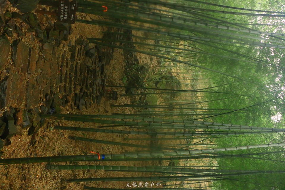 mmexport1516439031980