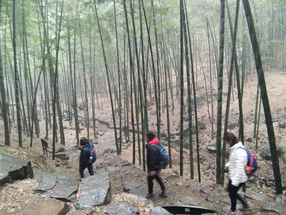 mmexport1516439122117