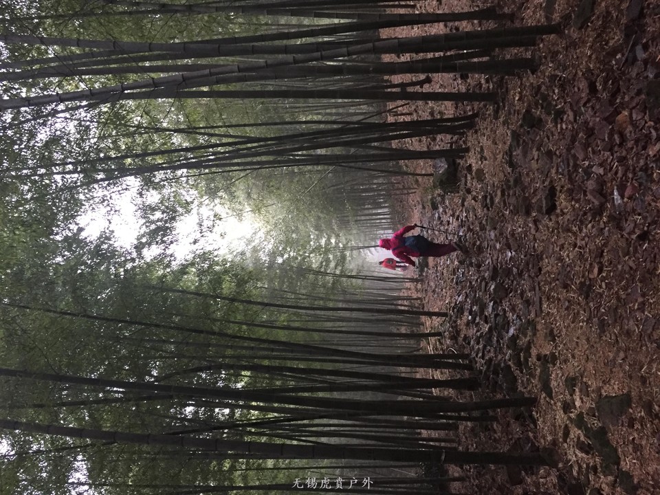 mmexport1516456933643