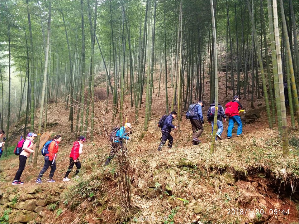 mmexport1516439287621