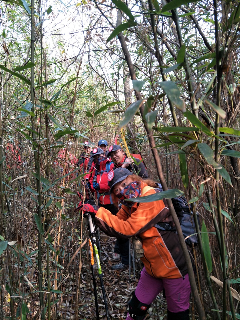 mmexport1513417251210