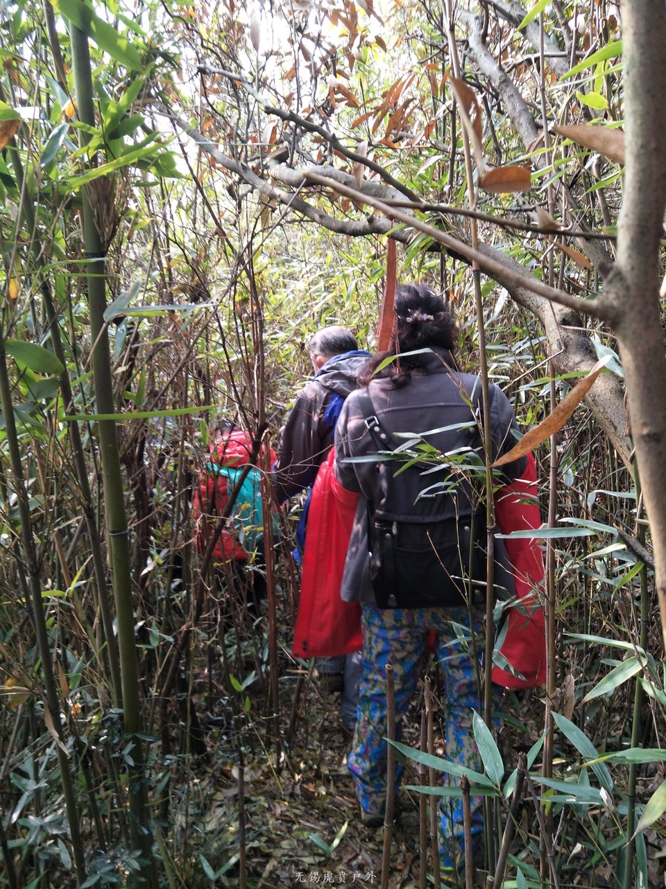 mmexport1513417262399