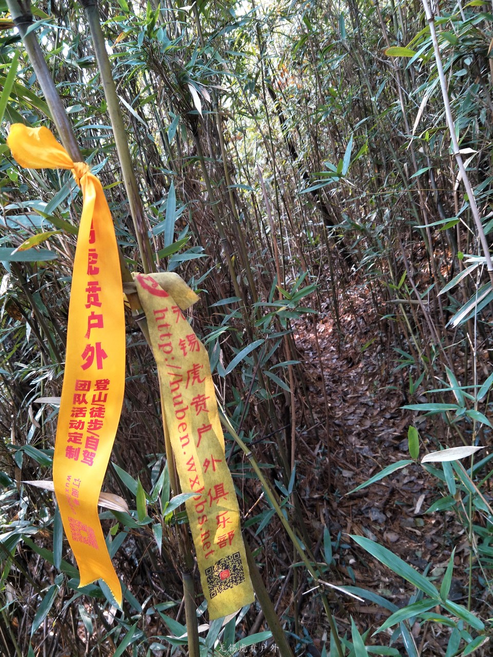 mmexport1513417270469