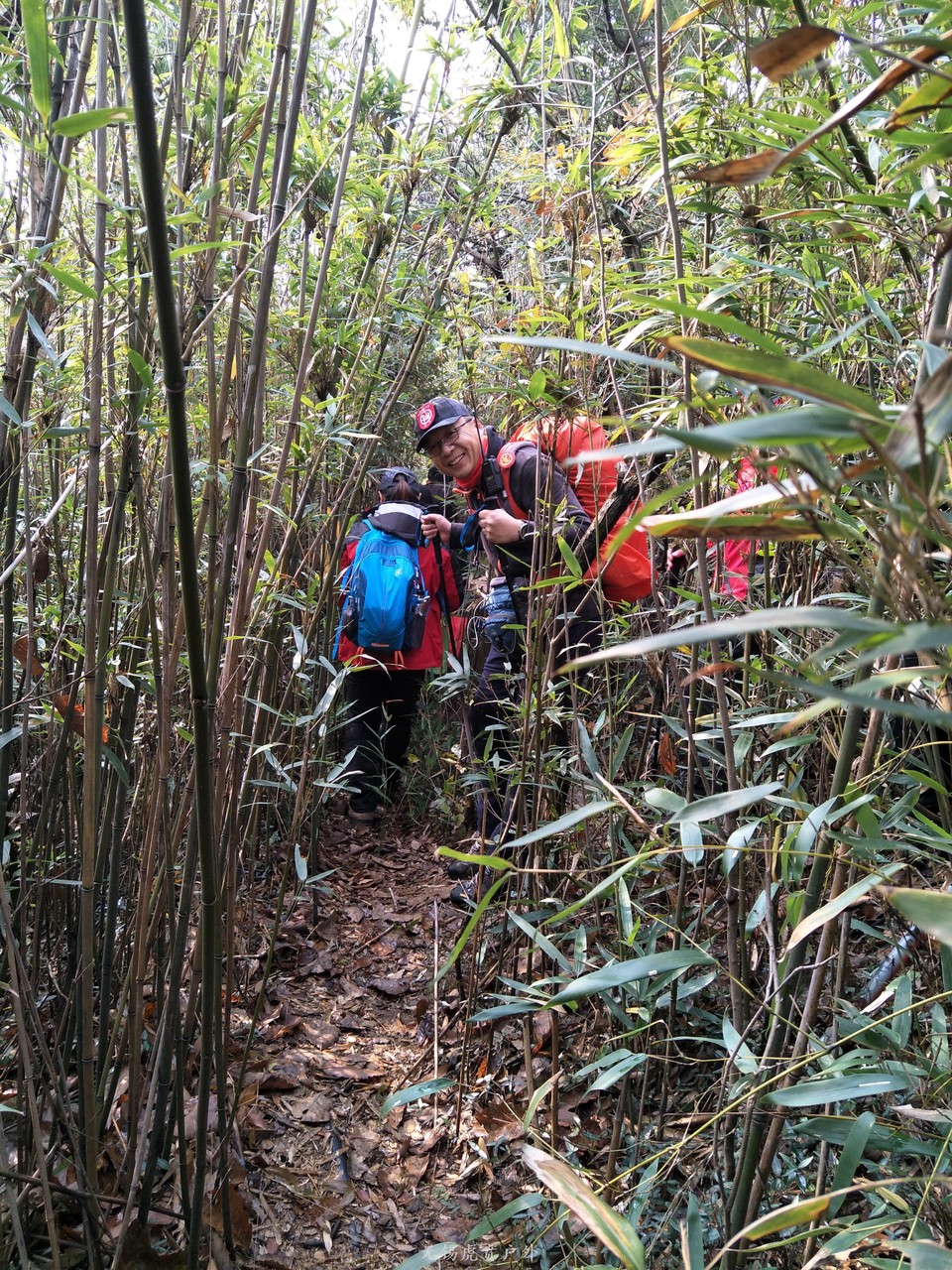 mmexport1513417281378