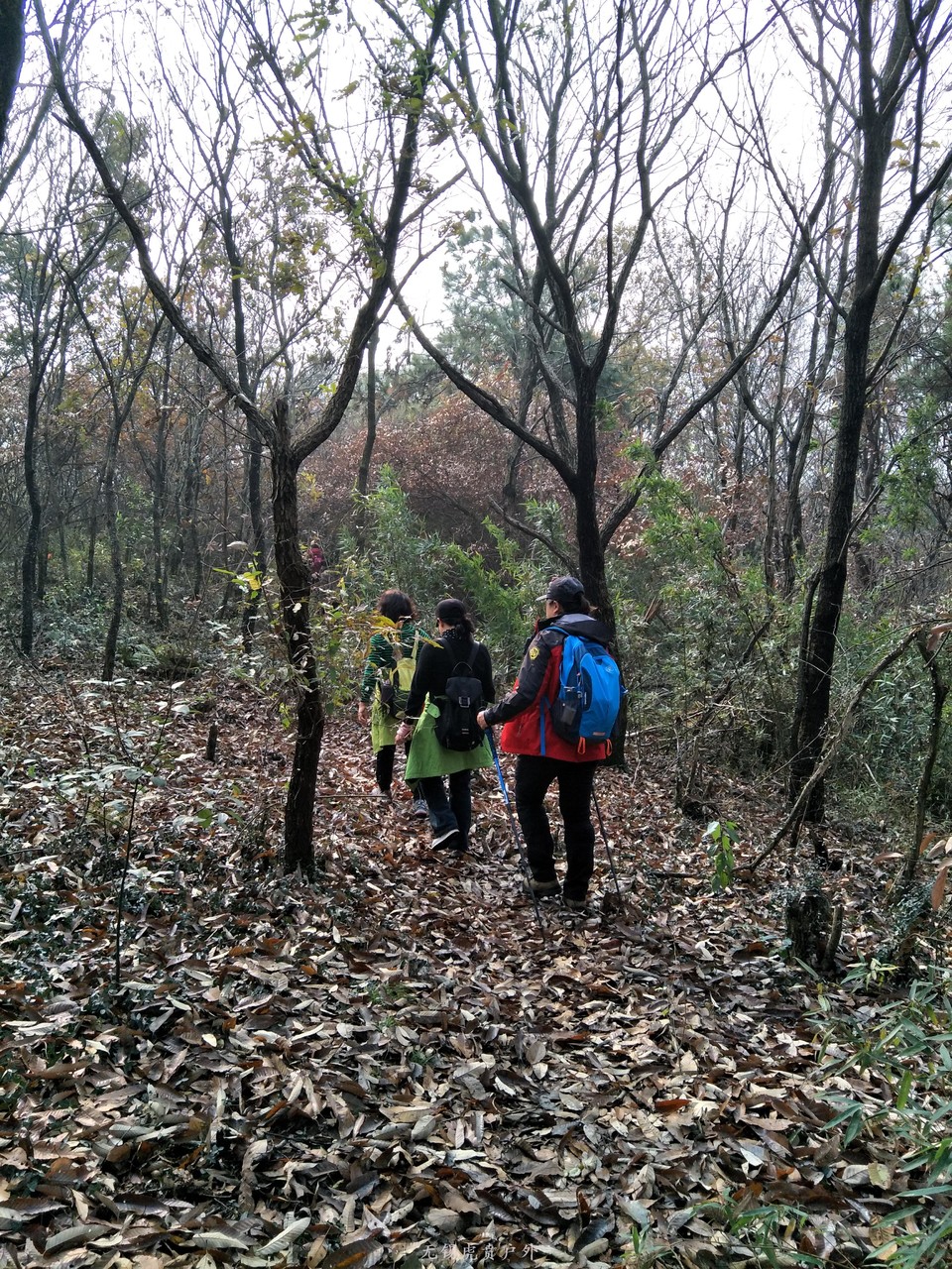 mmexport1513417292017