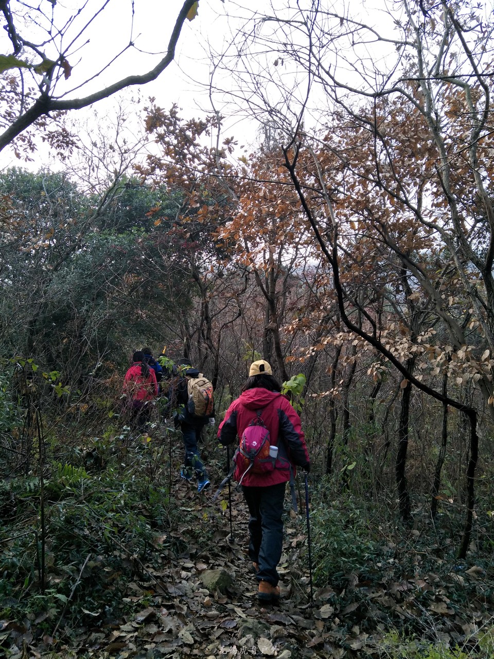 mmexport1513417323397