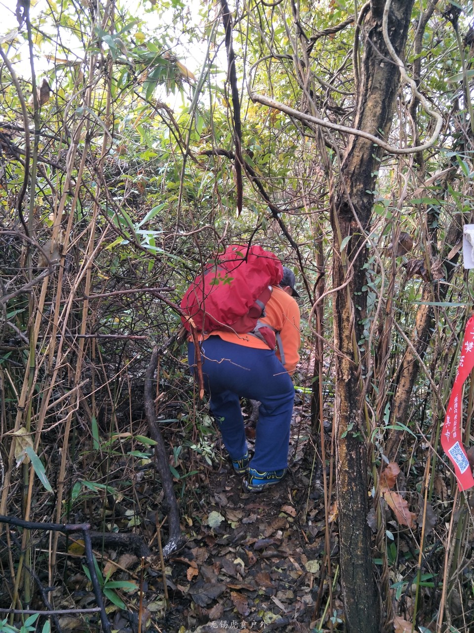 mmexport1513417358200