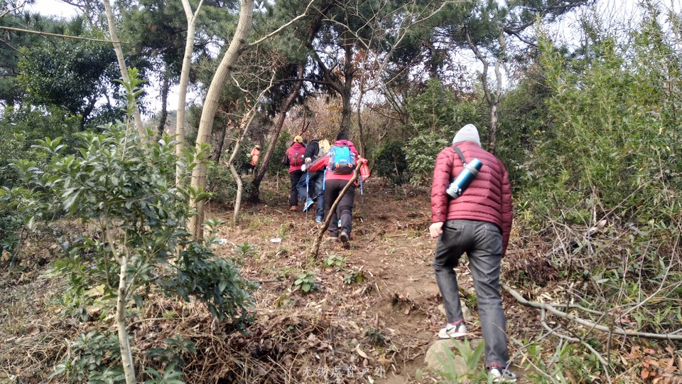 mmexport1513417390542