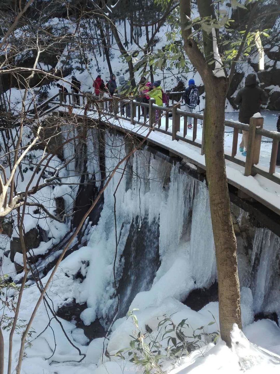 mmexport1517742961969