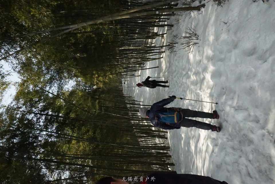 mmexport1517743186687