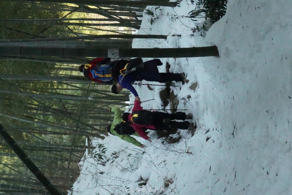 mmexport1517743584817