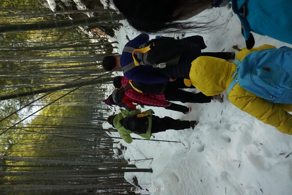 mmexport1517743619312