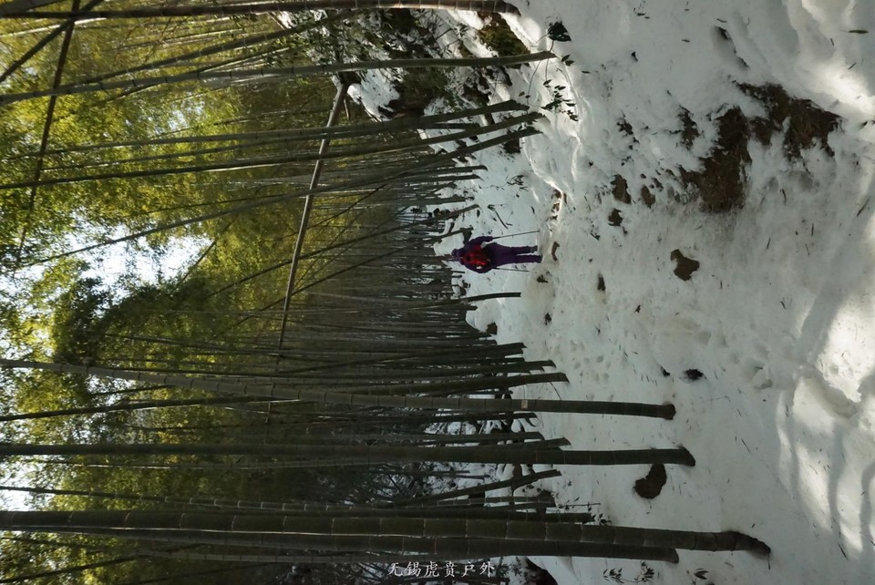 mmexport1517743625369