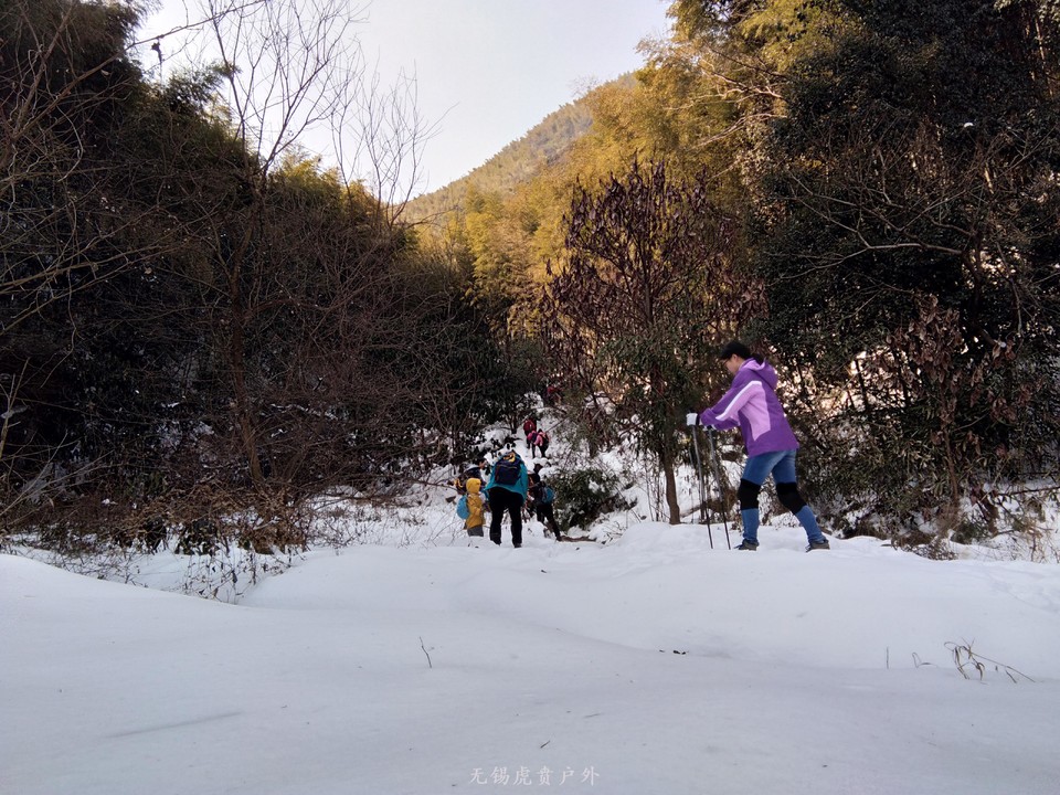 mmexport1517743848842