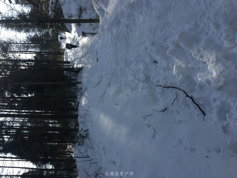 mmexport1517766207160