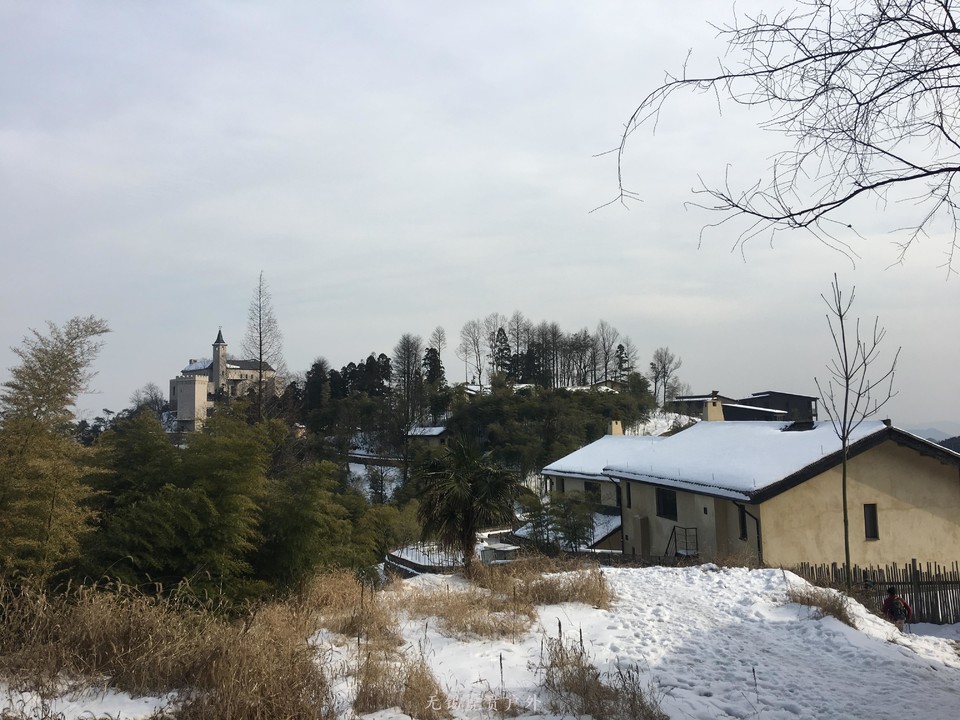 mmexport1517766281754