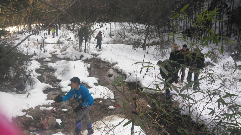 mmexport1517766335315