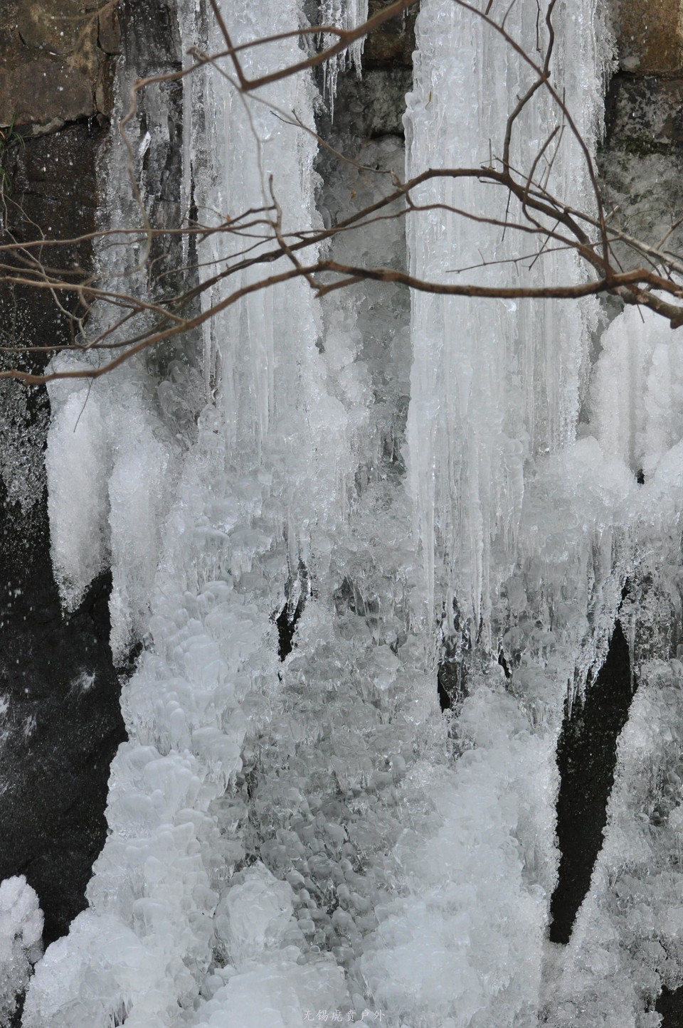 mmexport1517766435850