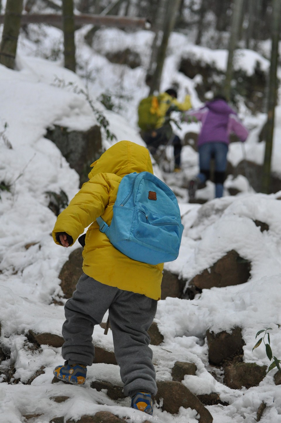 mmexport1517766454903