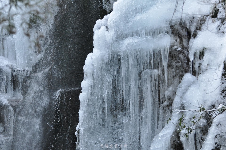 mmexport1517766520200