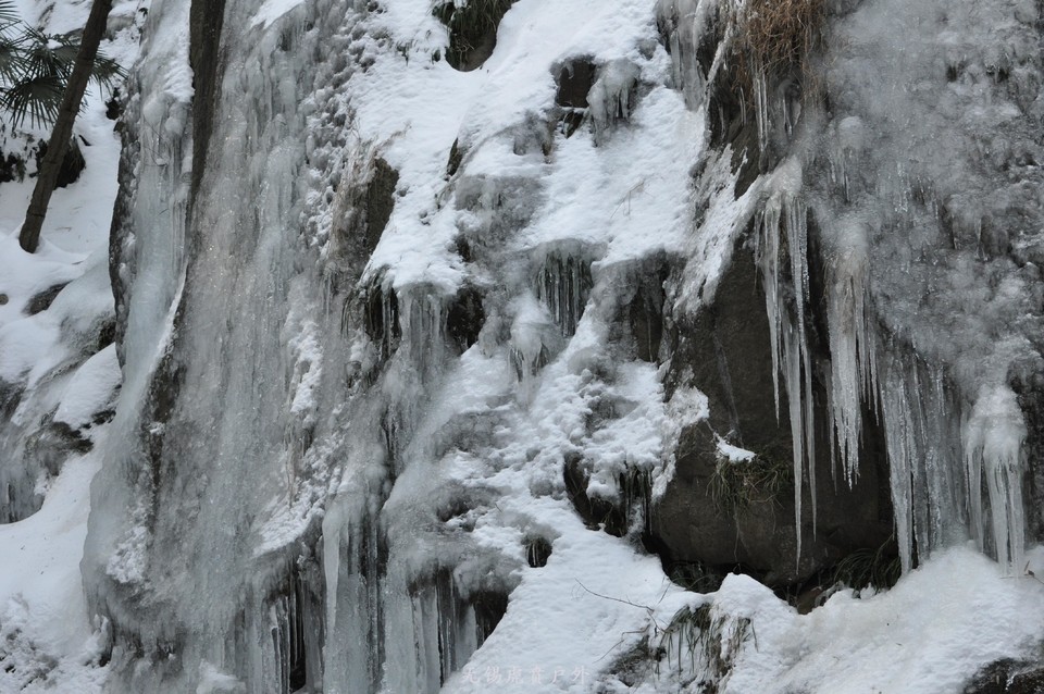 mmexport1517766544082