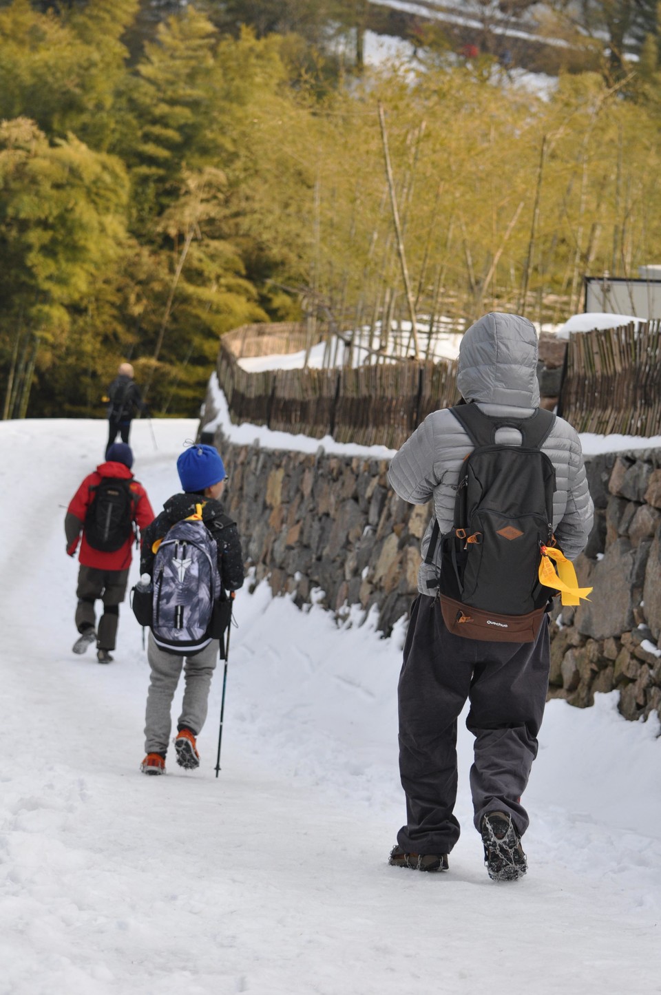 mmexport1517766717642