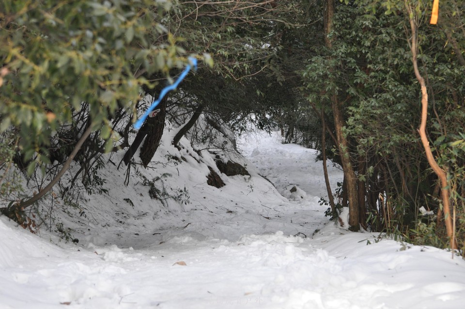 mmexport1517766768250