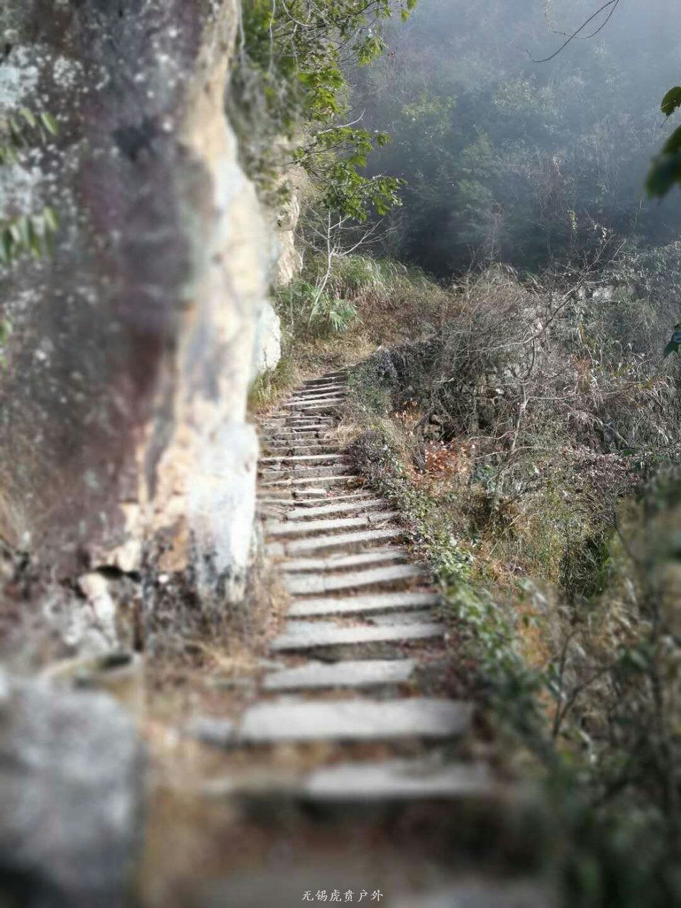 mmexport1514692509925