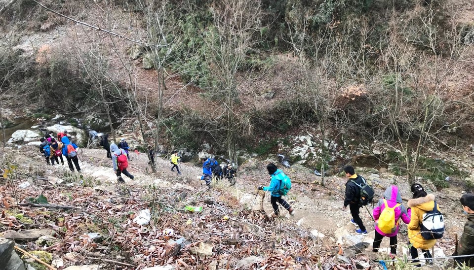 mmexport1514692956766