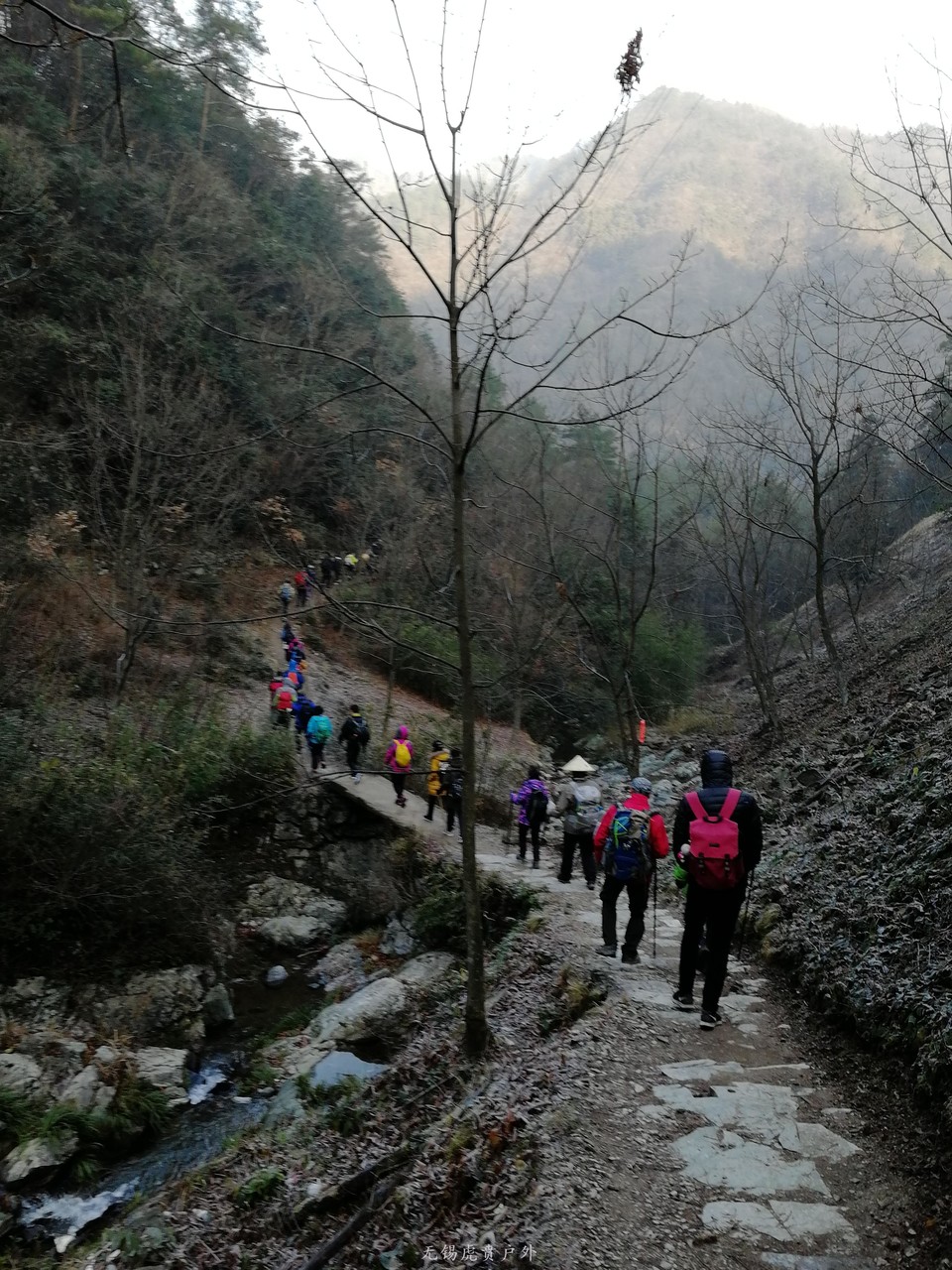 mmexport1514693378747