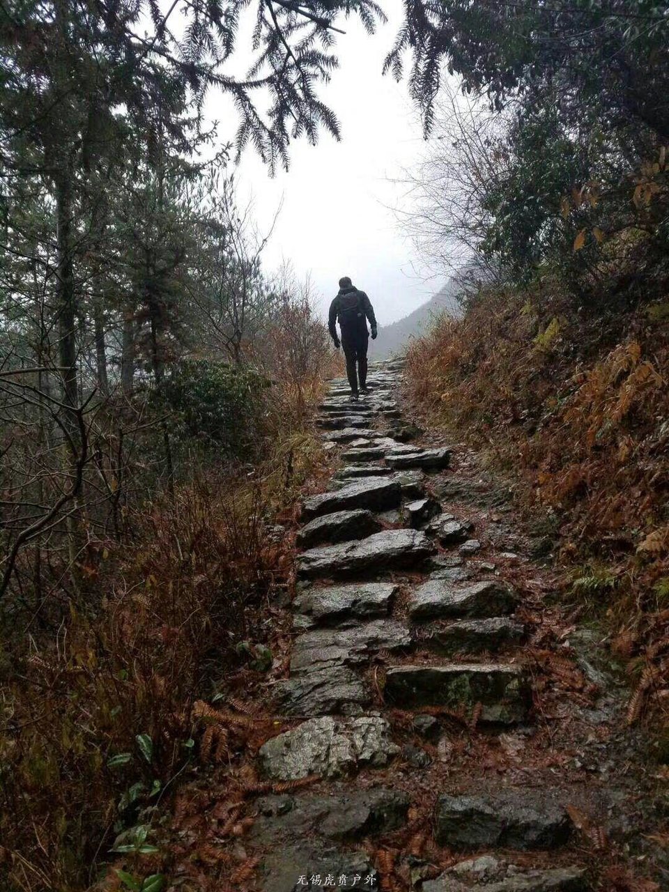 mmexport1514721535867